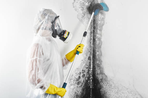 Best Mold Removal for HVAC Installations  in Powers Lake, WI
