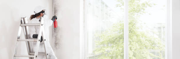 Best Residential Mold Inspection & Testing  in Powers Lake, WI
