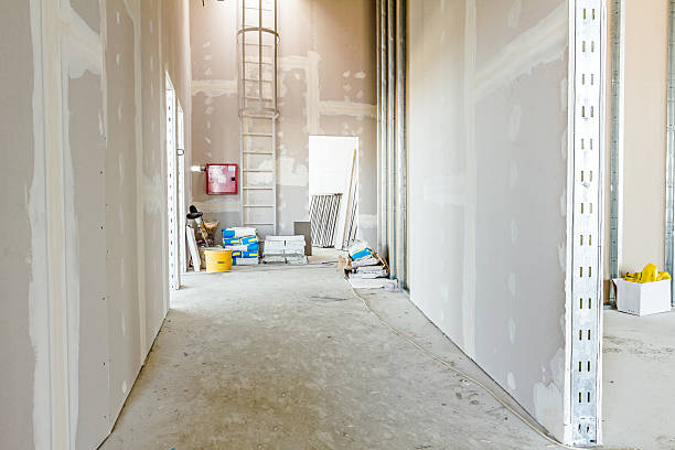 Best Mold-Related Health Consultation  in Powers Lake, WI